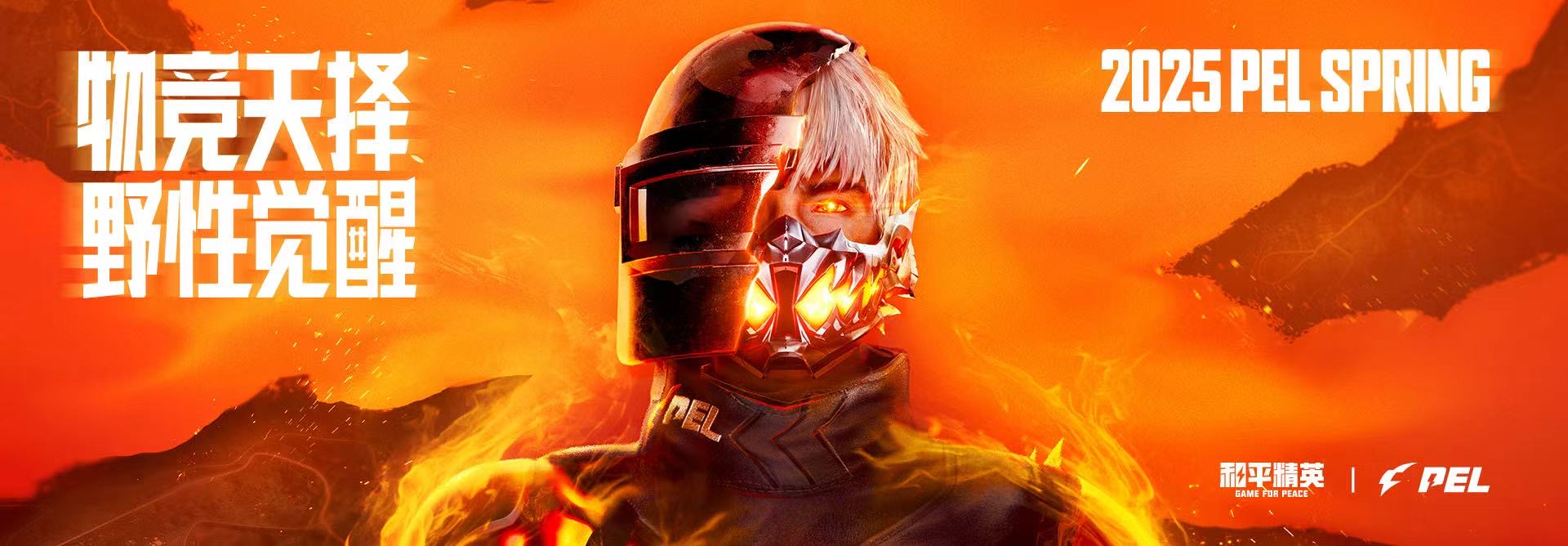 和平精英辅助【神眸】